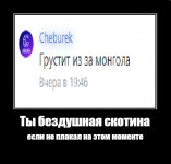 23.png